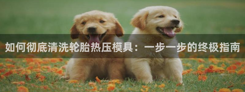 易倍英语官方网站登录：如何彻底清洗轮胎热压模具：一步一步