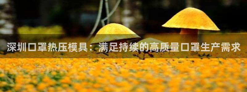 易倍申片能长期服用吗：深圳口罩热压模具：满足持续的高质量