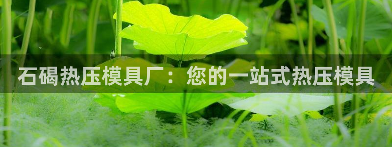 emc易倍平台：石碣热压模具厂：您的一站式热压模具
