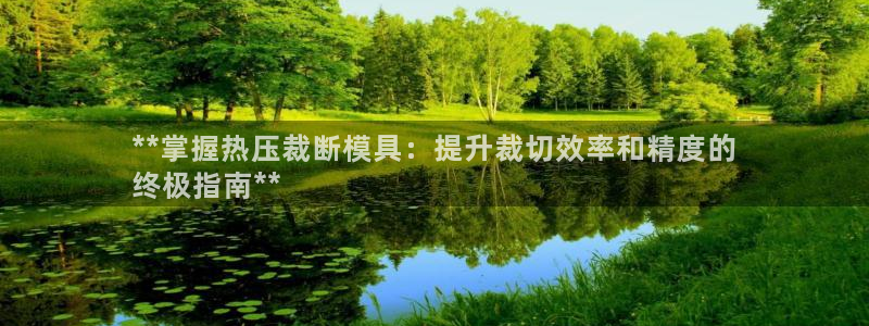 易倍单词登录平台：**掌握热压裁断模具：提升裁切效率和精