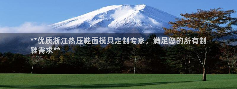 杭州易倍达上班怎么样：**优质浙江热压鞋面模具定制专家，