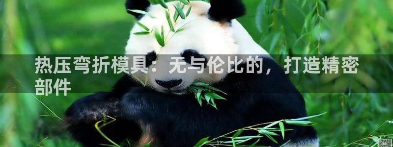 上海易倍投资有限公司：热压弯折模具：无与伦比的，打造精密