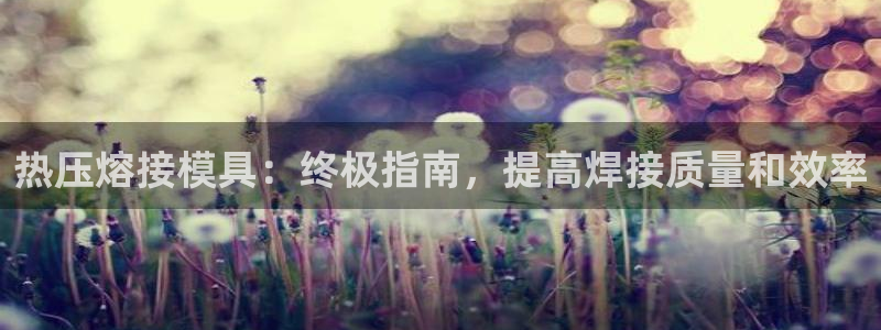 易倍思机电制造(上海)有限公司：热压熔接模具：终极指南，