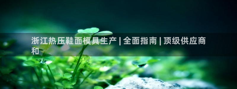 emc易倍怎么样：浙江热压鞋面模具生产 | 全面指南 |