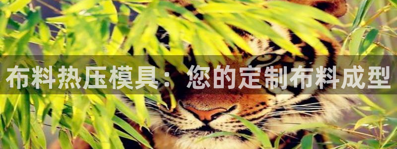 上海易倍投资有限公司：布料热压模具：您的定制布料成型
