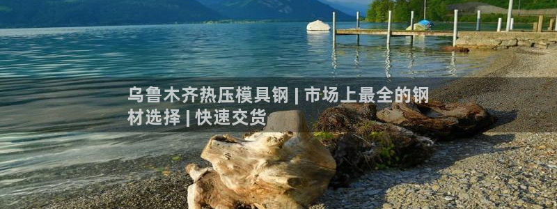 易倍纤代餐奶昔怎么样：乌鲁木齐热压模具钢 | 市场上最全