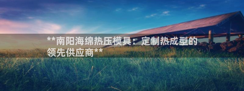 易倍纤使用方法：**南阳海绵热压模具：定制热成型的
领先