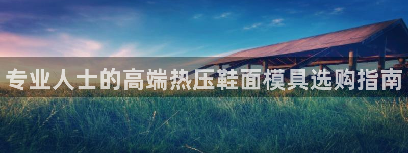 易倍下载地址：专业人士的高端热压鞋面模具选购指南