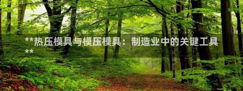 易倍单词如何下载：**热压模具与模压模具：制造业中的关键