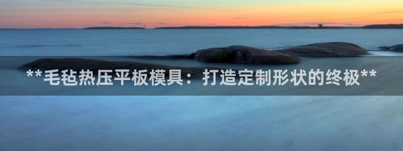 emc易倍官网登录入口：**毛毡热压平板模具：打造定制形