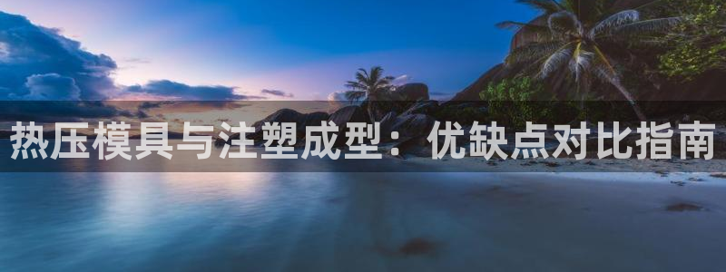 emc易倍官方平台：热压模具与注塑成型：优缺点对比指南