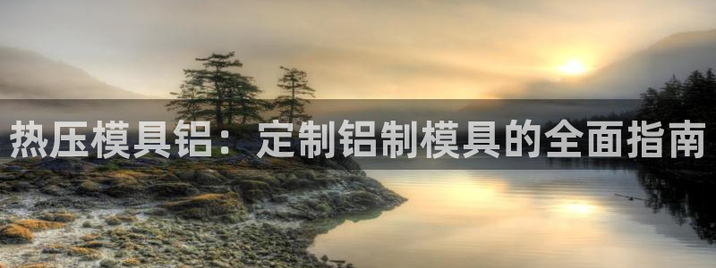 杭州易倍达：热压模具铝：定制铝制模具的全面指南
