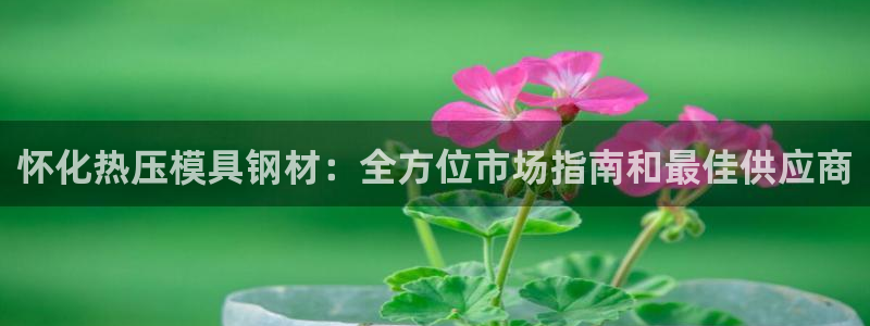 易倍企业管理软件：怀化热压模具钢材：全方位市场指南和最佳