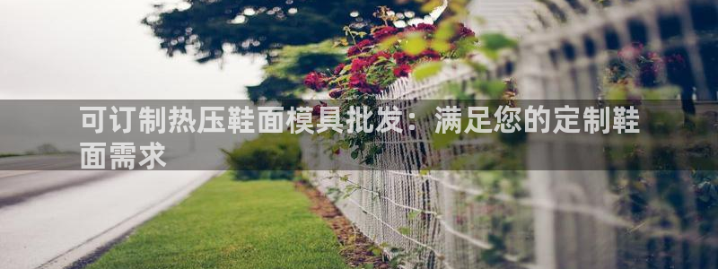 易倍康简历：可订制热压鞋面模具批发：满足您的定制鞋
面需