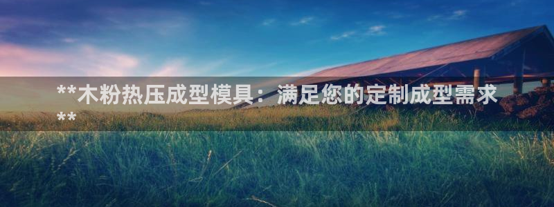 易倍纤减肥价格：**木粉热压成型模具：满足您的定制成型需