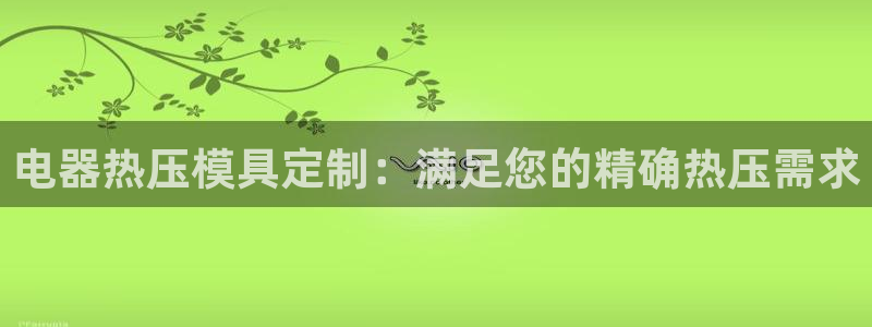 emc平台：电器热压模具定制：满足您的精确热压需求