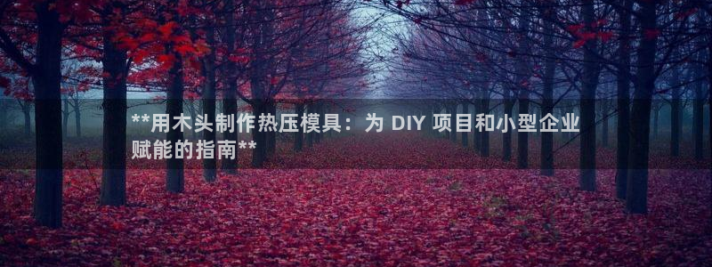 emc易倍网站是多少：**用木头制作热压模具：为 DIY