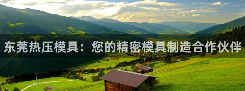 emc全站下载地址：东莞热压模具：您的精密模具制造合作伙
