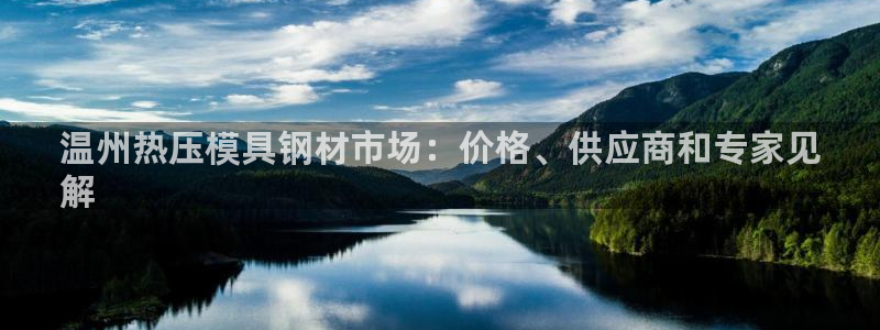 易倍网络技术有限公司：温州热压模具钢材市场：价格、供应商
