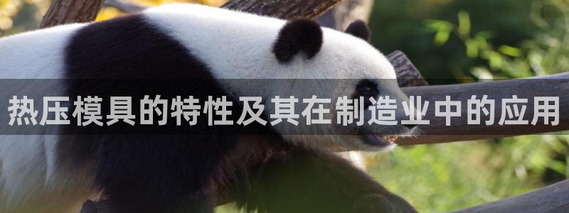 易倍纤价格：热压模具的特性及其在制造业中的应用