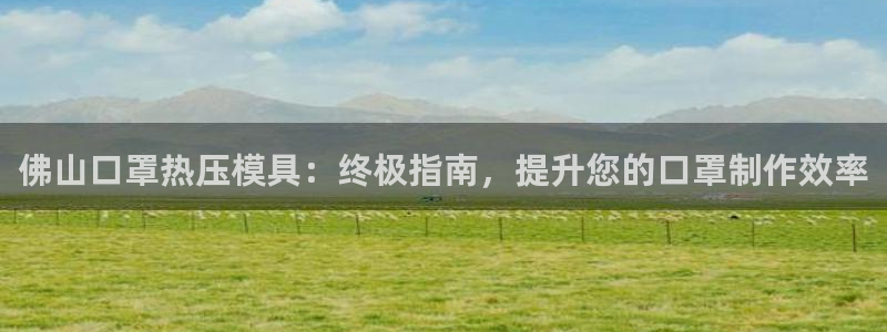武汉易倍捷科技有限公司：佛山口罩热压模具：终极指南，提升