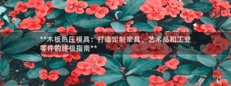 杭州易倍达上班怎么样：**木板热压模具：打造定制家具、艺
