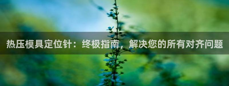 上海易倍投资有限公司：热压模具定位针：终极指南，解决您的