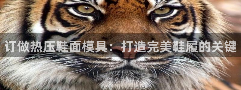 易倍申是进口药吗：订做热压鞋面模具：打造完美鞋履的关键