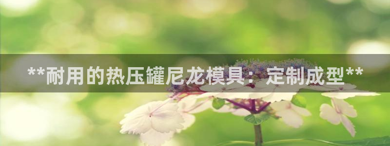 emc备份软件：**耐用的热压罐尼龙模具：定制成型**