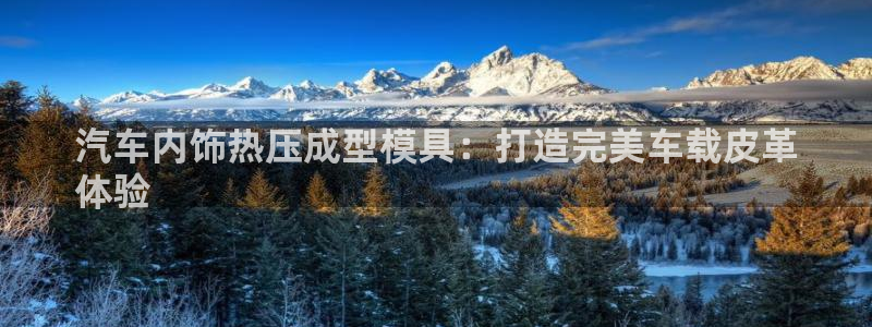 易倍纤奶昔减肥效果怎么样：汽车内饰热压成型模具：打造完美