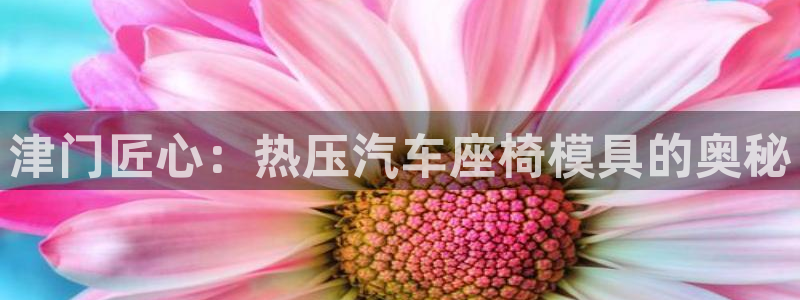 易倍网络技术有限公司怎么样：津门匠心：热压汽车座椅模具的
