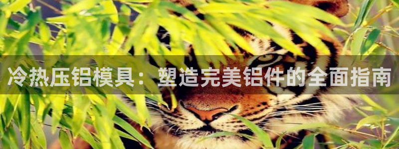 emc倍频只能是奇数倍吗：冷热压铝模具：塑造完美铝件的全