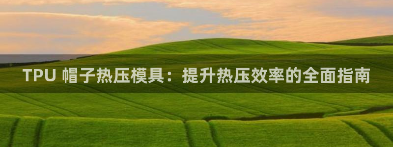 易倍达科技有限公司怎么样：TPU 帽子热压模具：提升热压