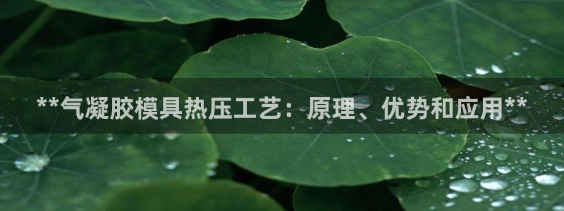 四川易倍易企业管理有限公司：**气凝胶模具热压工艺：原理