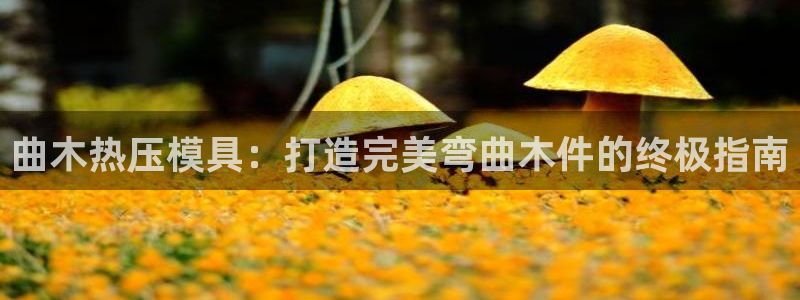 易倍网络技术有限公司：曲木热压模具：打造完美弯曲木件的终