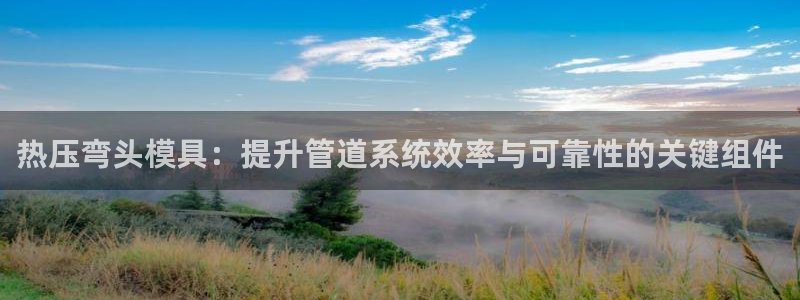 易倍单词官方网站的：热压弯头模具：提升管道系统效率与可靠