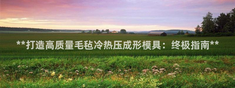 emc易倍穆里尼奥：**打造高质量毛毡冷热压成形模具：终