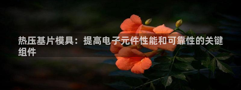 易倍科华生物科技有限公司：热压基片模具：提高电子元件性能