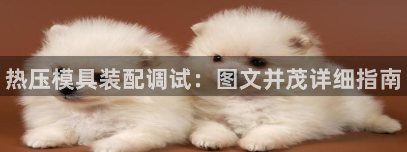 易倍易倍单词官方网站：热压模具装配调试：图文并茂详细指南