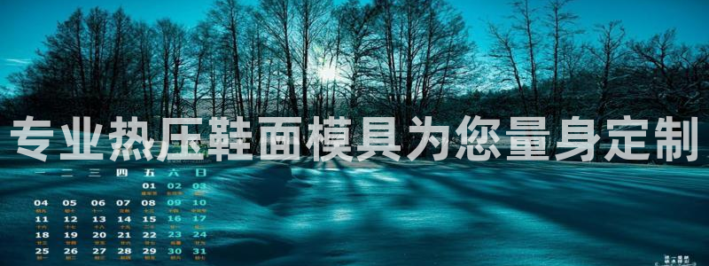易倍申的价格：专业热压鞋面模具为您量身定制