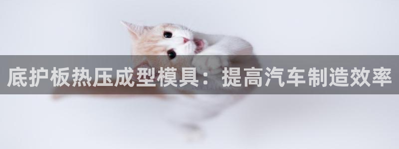 emc平台：底护板热压成型模具：提高汽车制造效率