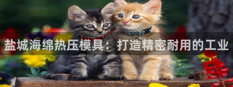 易倍app官网下载安装：盐城海绵热压模具：打造精密耐用的