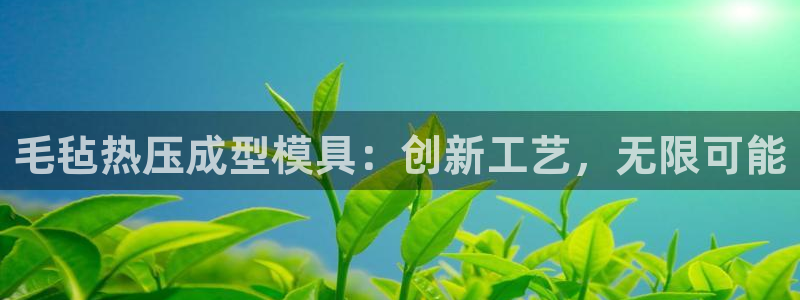 emc倍频只能是奇数倍吗：毛毡热压成型模具：创新工艺，无
