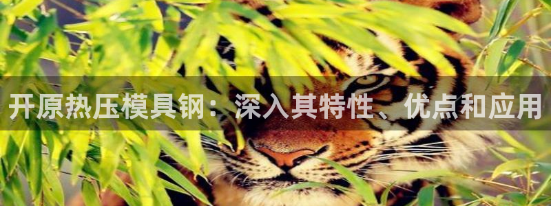 易倍科华生物科技有限公司：开原热压模具钢：深入其特性、优