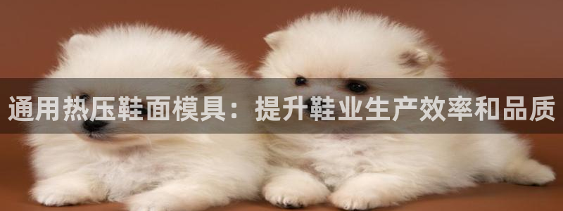 emc易贝体育怎么样：通用热压鞋面模具：提升鞋业生产效率