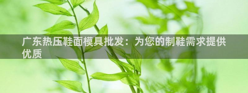易倍纤奶昔减肥效果怎么样：广东热压鞋面模具批发：为您的制
