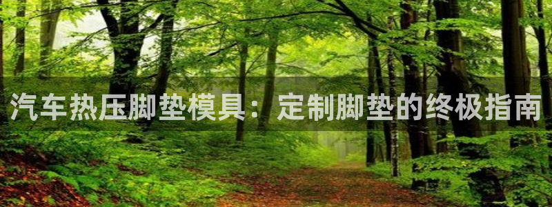 易倍单词app官网：汽车热压脚垫模具：定制脚垫的终极指南