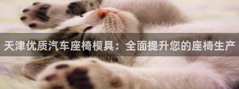 易倍下载：天津优质汽车座椅模具：全面提升您的座椅生产