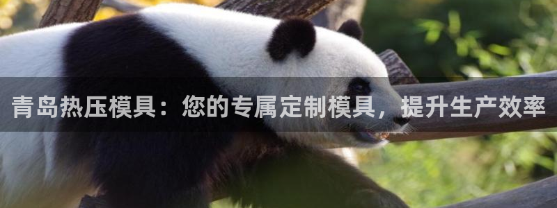 emc易倍官网app：青岛热压模具：您的专属定制模具，提