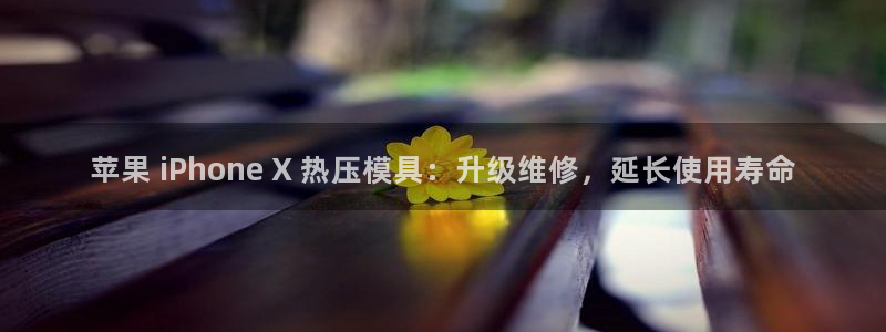 易倍达科技有限公司：苹果 iPhone X 热压模具：升